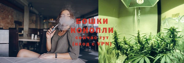 ПСИЛОЦИБИНОВЫЕ ГРИБЫ Медвежьегорск