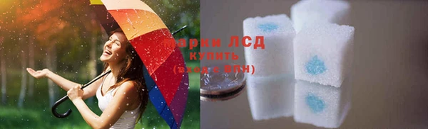 ПСИЛОЦИБИНОВЫЕ ГРИБЫ Медвежьегорск