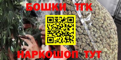 индика Краснознаменск