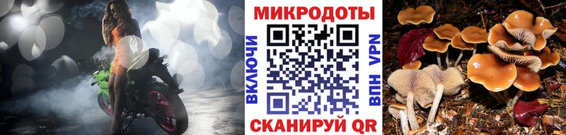Псилоцибиновые грибы MAGIC MUSHROOMS  это клад  Советск 