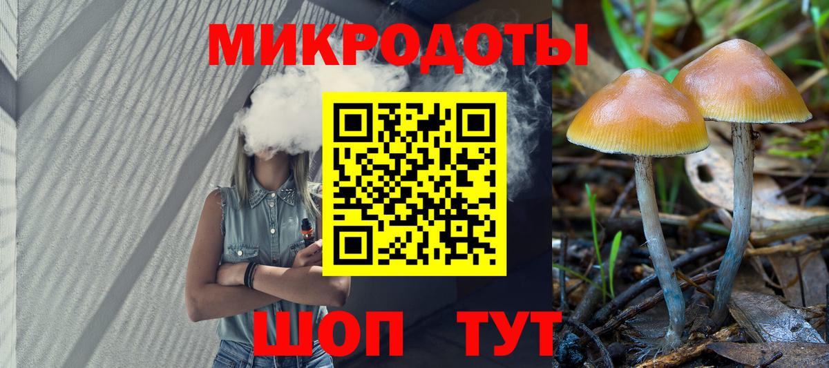 Псилоцибиновые грибы прущие грибы Советск