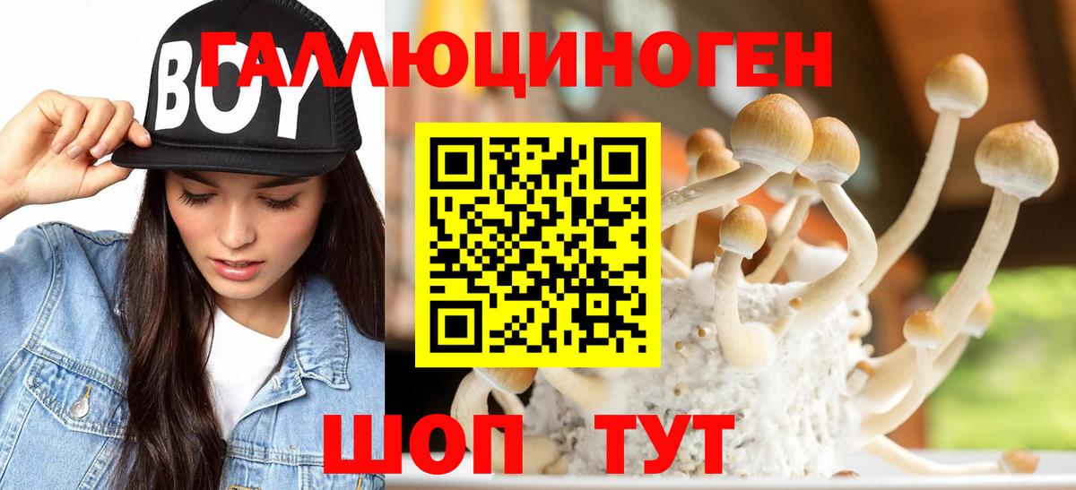 Советск  Псилоцибиновые грибы Magic Shrooms  Вход с VPN  Псилоцибиновые грибы мицелий 