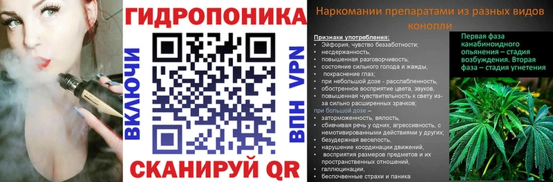 Каннабис индика  Советск 